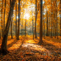 Kleuradvies herfsttype - warme kleuren kleding en make-up voor herfsttype vrouw bij Donna Colori