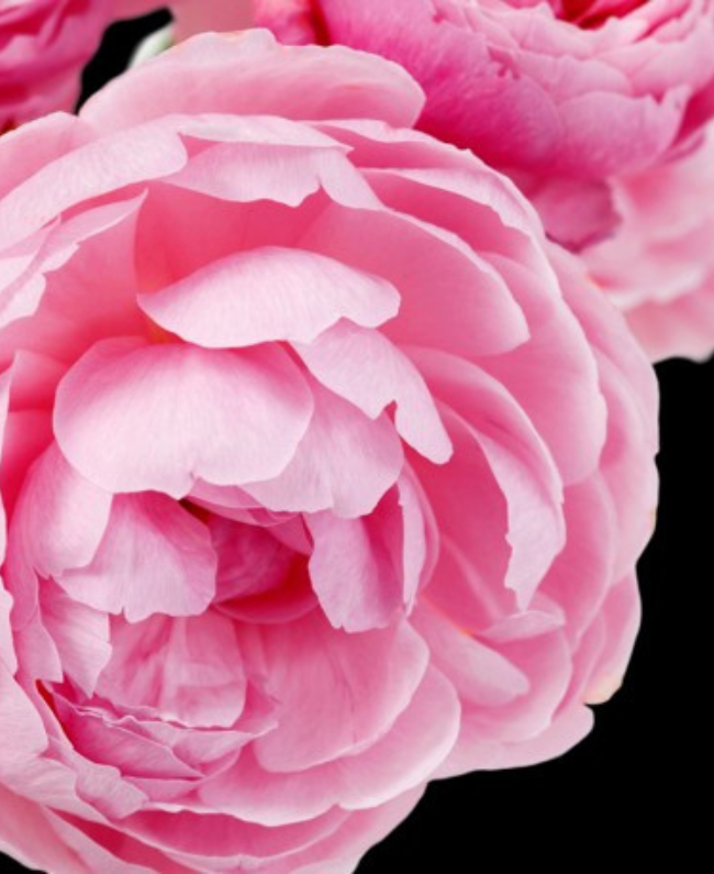 DINARA damesparfum fles - bloemige aldehyde geur Yodema