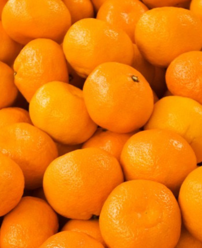 CHEANTE damesparfum fles - oriental amber geur Yodeyma