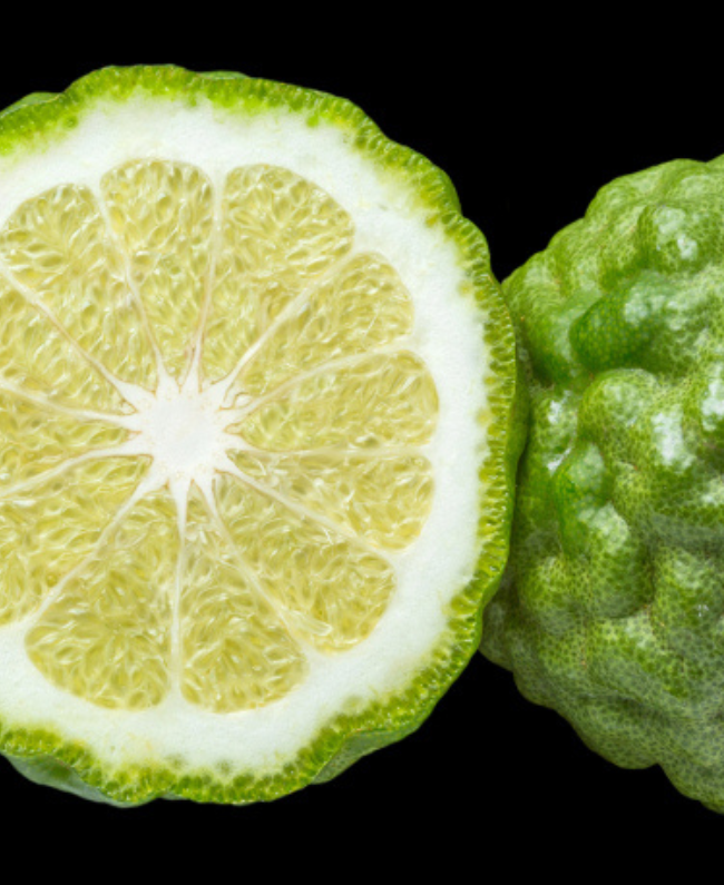 LINET damesparfum fles - houtachtige bloemige geur Yodeyma