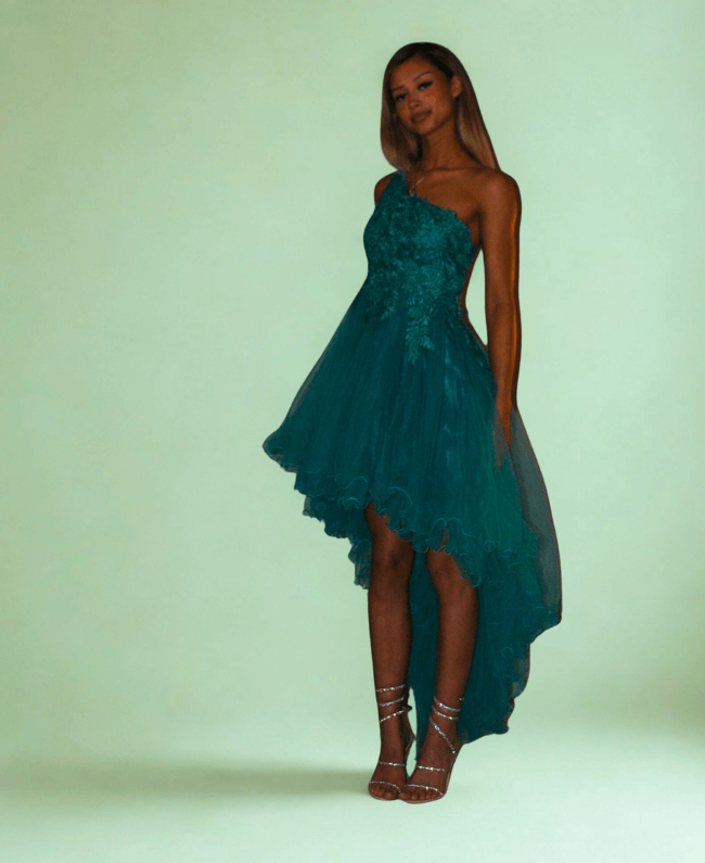 
                      
                        Elegante tule galajurk voor dames – perfect voor gala, bruiloft of feest, verkrijgbaar in verschillende maten
                      
                    