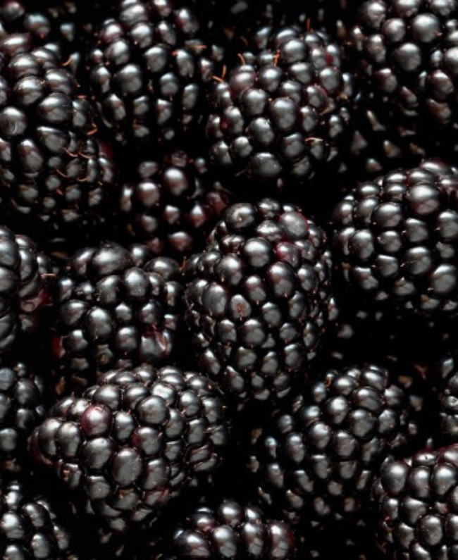 MIA damesparfum fles - bloemige oriëntale geur Yodeyma