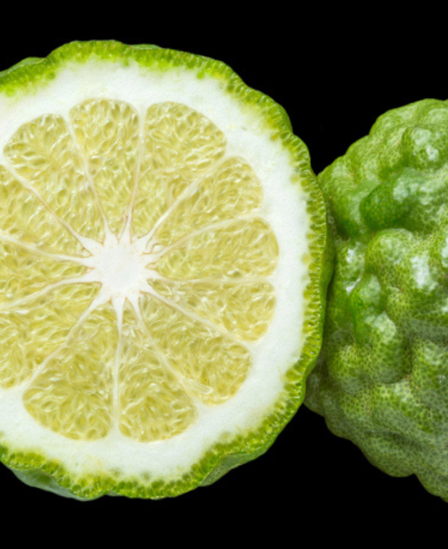 TENDENZE damesparfum fles - bloemige oriental geur Yodeyma